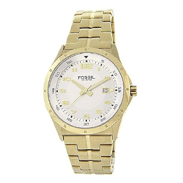 Pulseira de relógio Fossil AM4211 Aço inoxidável Banhado a ouro 24mm